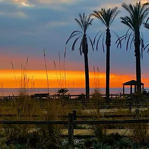 https://atico-costa-toyo.es-andalucia.com
